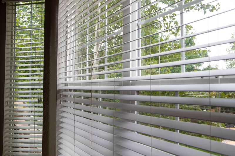 Blinds Replacement Service